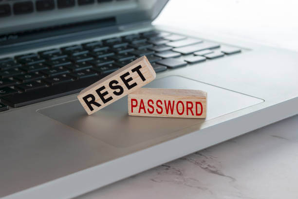 Provide your username and email to reset your password