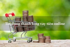 App Tín Dụng Thanh Long vay tiền là gì?