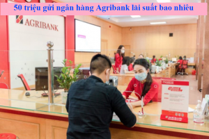 50 triệu gửi ngân hàng agribank lãi suất bao nhiêu