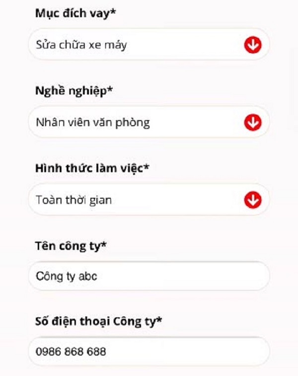 Thông tin nghề nghiệp của khách hàng