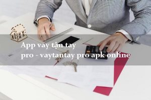 App Vay Tận Tay Pro là gì?