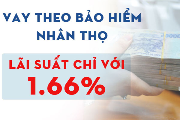 Thắc mắc thường gặp vay tiền bằng bảo hiểm nhân thọ.