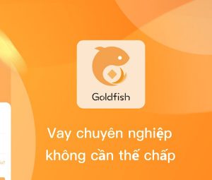 Giới thiệu về GoldFish