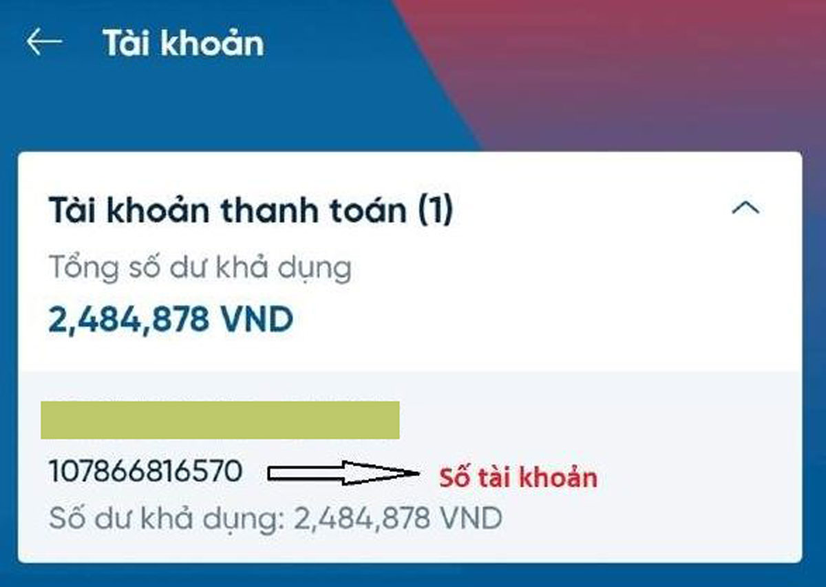 Hướng dẫn kiểm tra số tài khoản BIDV trên mạng.