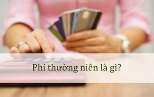 Phí thường niên BIDV là gì?