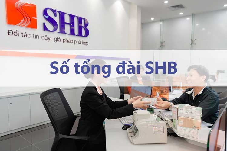 Hotline tại các tỉnh/thành phố lớn