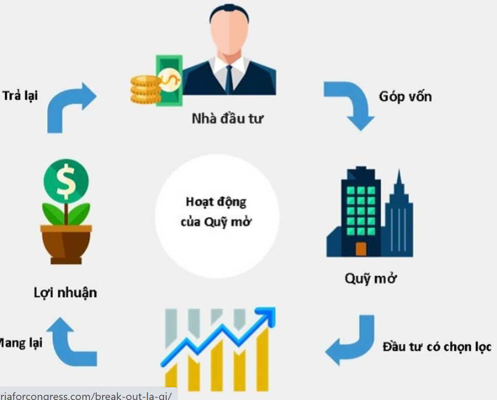 Có thể hiểu chứng chỉ quỹ là gì là thế nào?