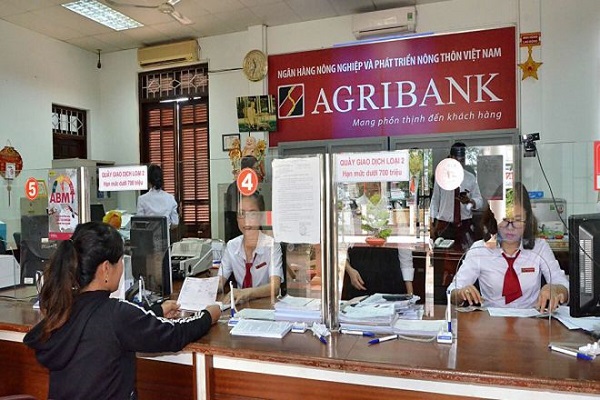 Vay tín chấp Agribank là gì?